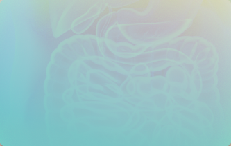 Allgemein- und Viszeralchirurgie