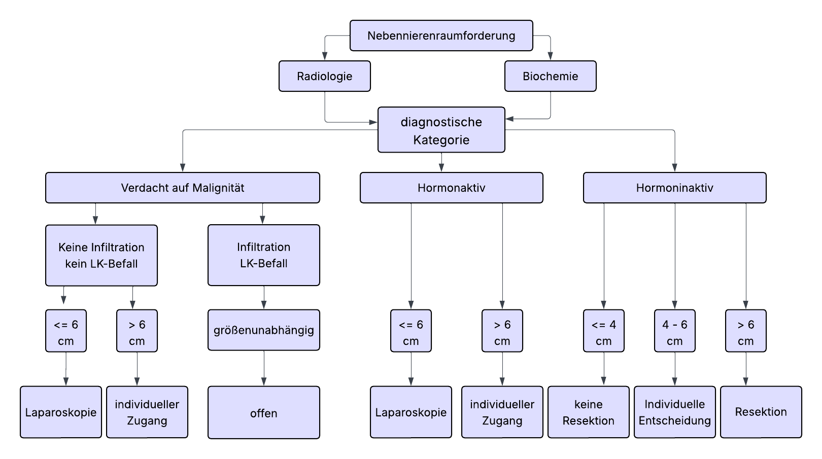 78- Behandlungspfad Nebennierenraumforderung