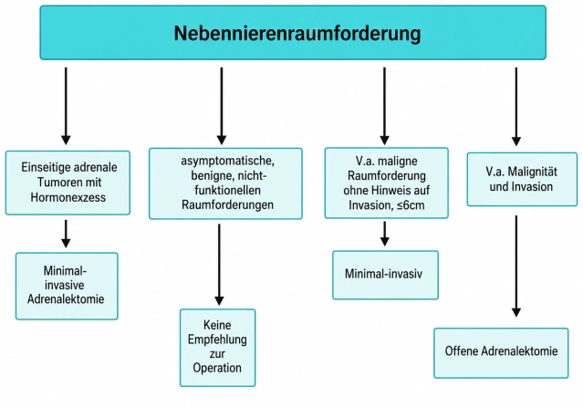 Nebennierenraumforderung.png