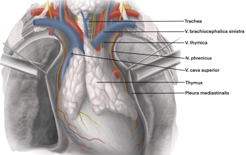 Anatomia topográfico-cirúrgica