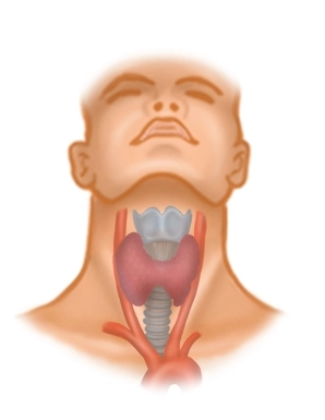 Triángulo cervical anterior