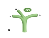 40_LAV_03_b_Gallenwege